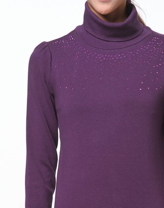 女款褐紫色镶钻高领长袖家居服套装