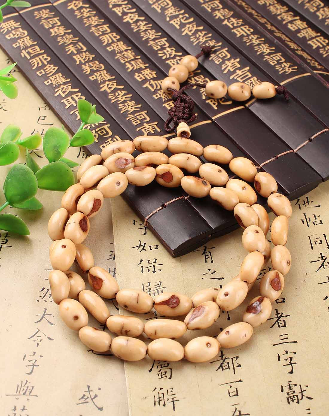 天然中佛眼菩提54粒